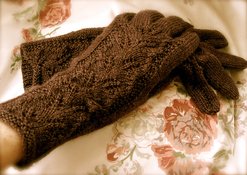 Plum Gloves photo 1