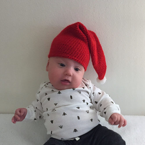 Santa's Baby Elf Hat