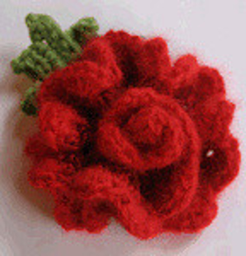 Shelly Ribbon Rose