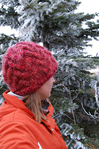 Cabled Hat