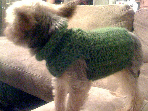So Swanky Sweater