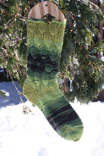 Later Alligator Socks