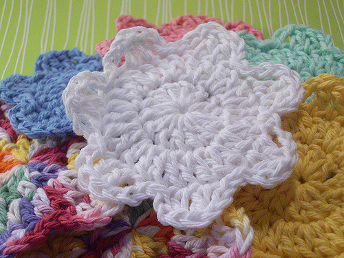 Cotton Blossom
