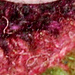 Hip Cozy - Hüftschmeichler photo 3