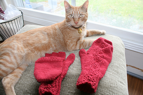 Foliage Convertible Mittens
