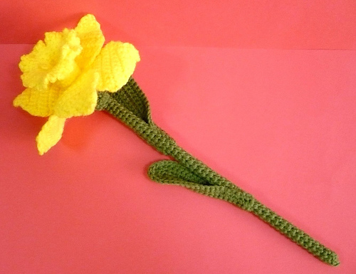 Daffodil Flower