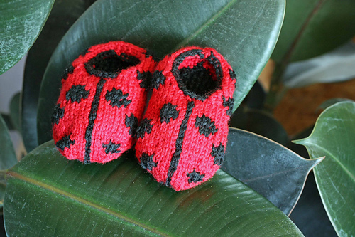 Ladybird Shoes