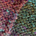 Ten Stitch Twist photo 3
