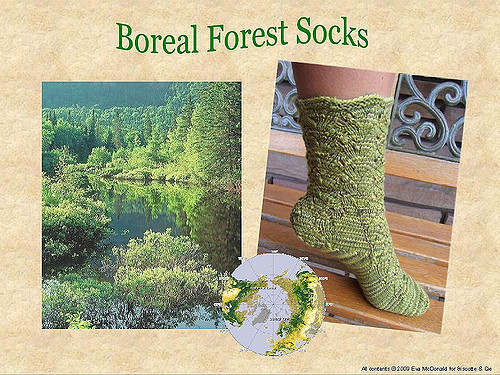 Boreal Forest Socks