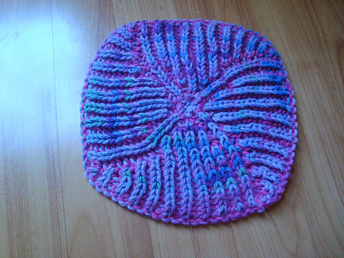 Prime rib "X" or swirl Dishcloth
