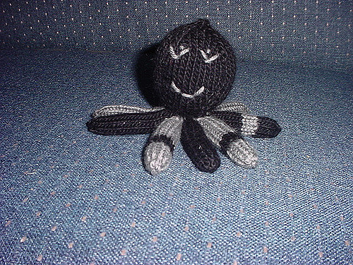 Little octopus