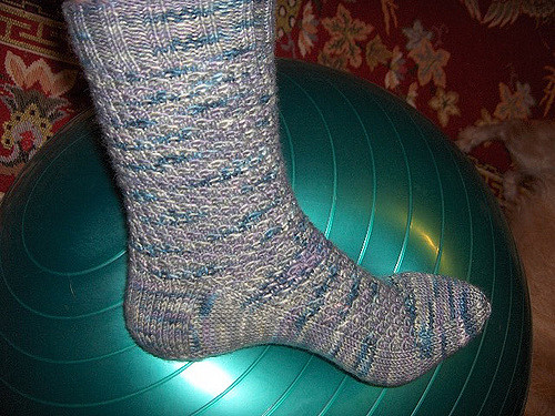 Squamata