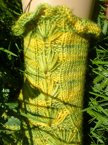 Pusteblume