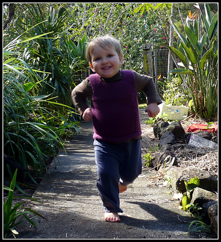 Ravelry: Milo pattern by Georgie Nicolson