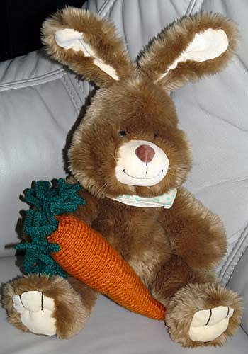 carrot