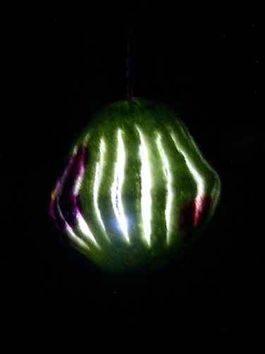 Knitted/Felted Garden Lantern photo 4