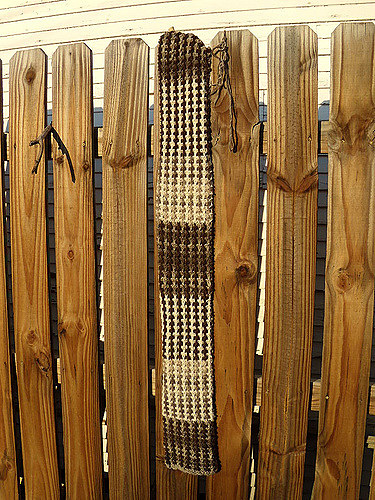 Colors 101 Scarf