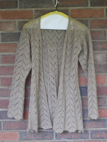 Wasp Wing Cardigan