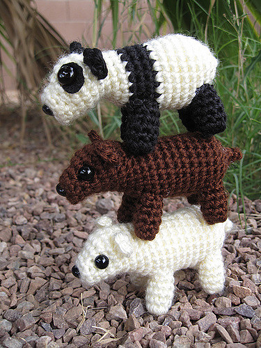 Panda, Polar, and Brown Bear photo 1