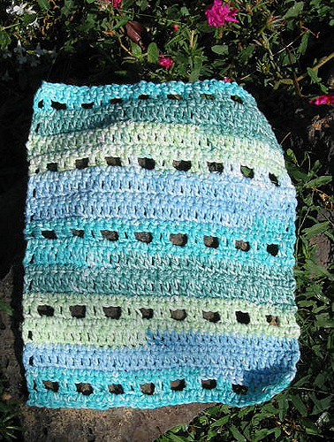 Wash & Wipe Dishcloth #10