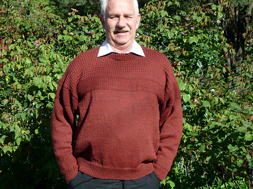 Ravelry: PT 8118 Unisex Textured Jumper pattern by Bendigo Woollen