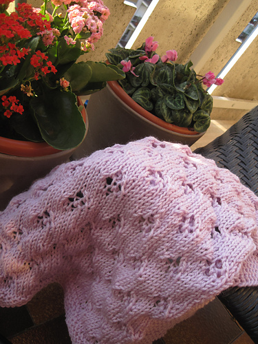 Allegra's Cover photo 9