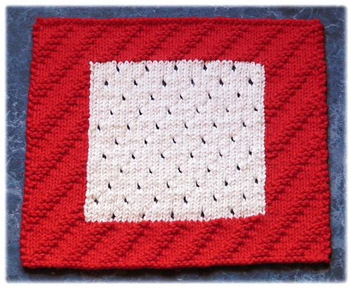 Holiday Window Dishcloth