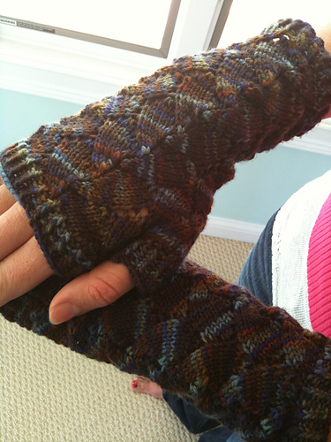 Lepidoptera Mitt
