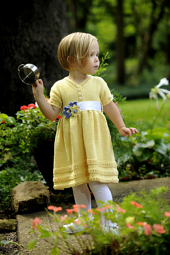 Cinderella Dress and Sash  