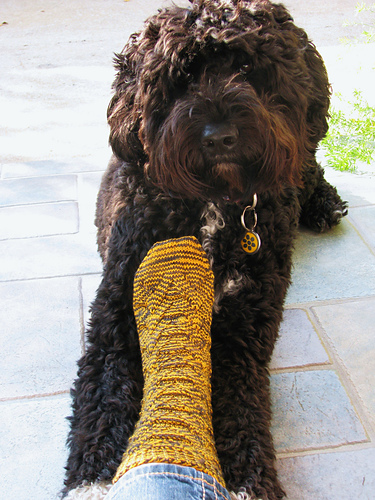 Monkey Socks photo 12