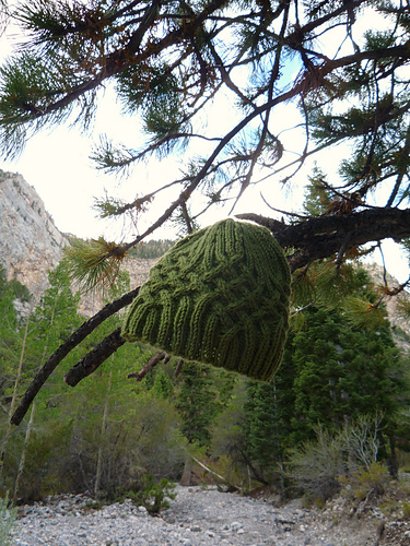 Knotty but Nice photo 3