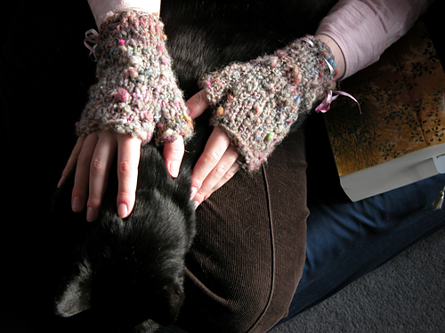 My Mixy Mitts