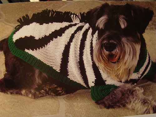 Zebra Dog Coat