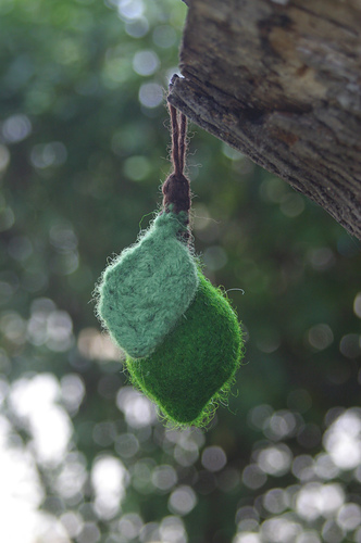 Little Lime photo 1