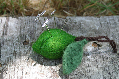 Little Lime photo 2