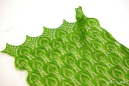 Spring Leaves photo 3