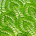 Spring Leaves photo 4