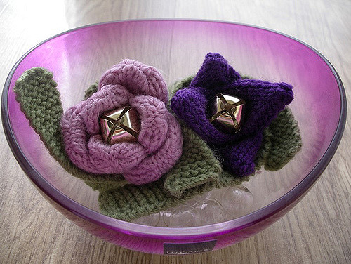 Hoya's Falwers (Flower Rattle)