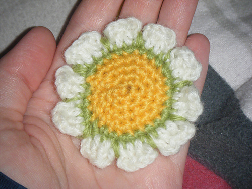 Camomile