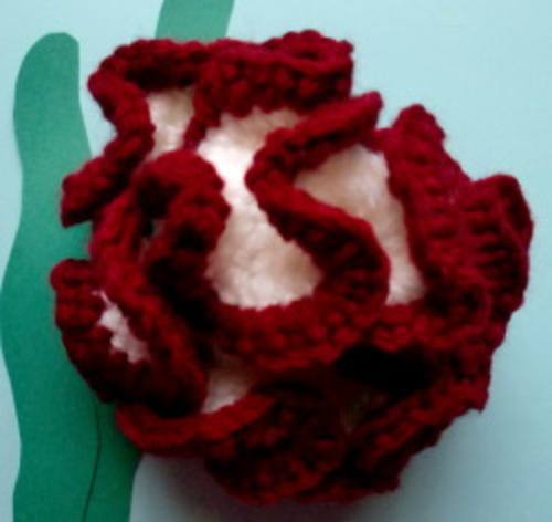 Brain Coral Scrubbie