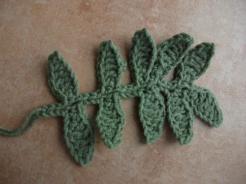 Fern