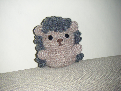 Cute Little Hedgehog