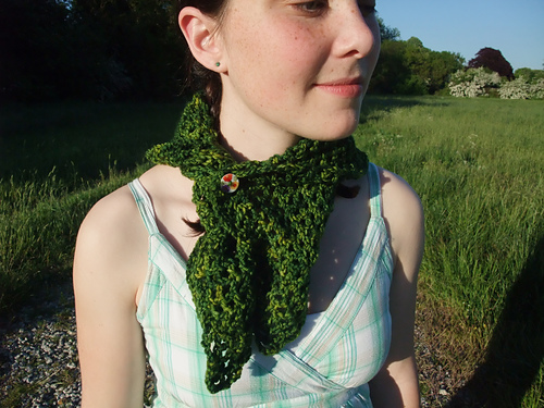 Heidi Shawl