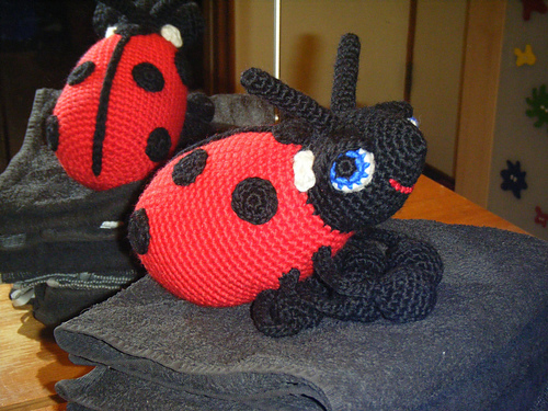 Great Big Ladybug