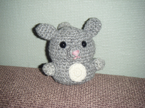 Cute Little Chinchilla