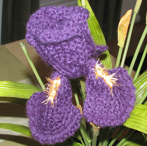 Vincent - a knitted Iris flower