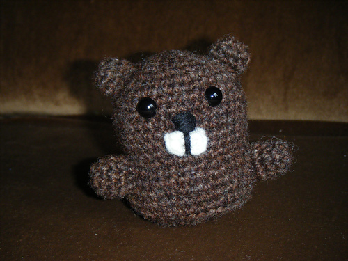 Cute Little Beaver