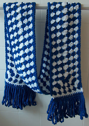 Special Olympics Granny Scarf