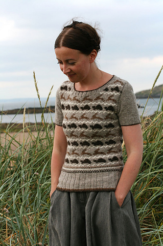 Tortoise and Hare sweater