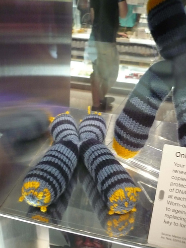 Make your own chromosome photo 2